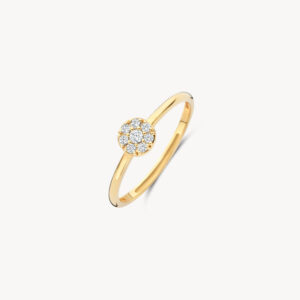 Ring met cirkel bezet met zirkonia 14k goud