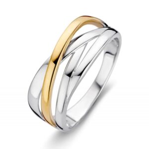 Ring zilver/goud