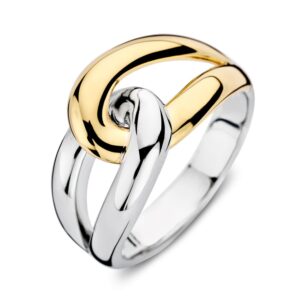 Ring zilver/goud